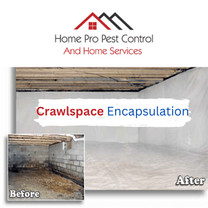 crawlspace encapsulation