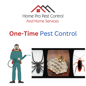 one-time pest control